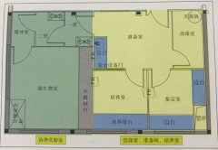 微生物實驗室與P2實驗室設計規劃